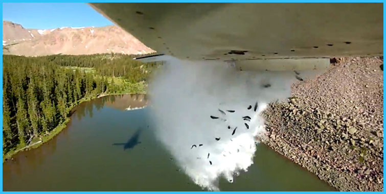 airplane-fish-dump-lake-utah